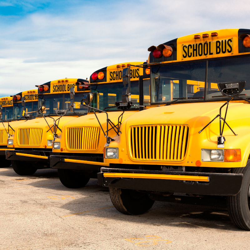 School buses lined up