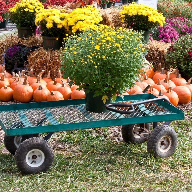 farm cart