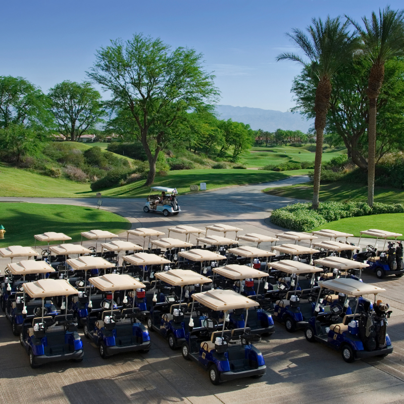 Golf cart fleet