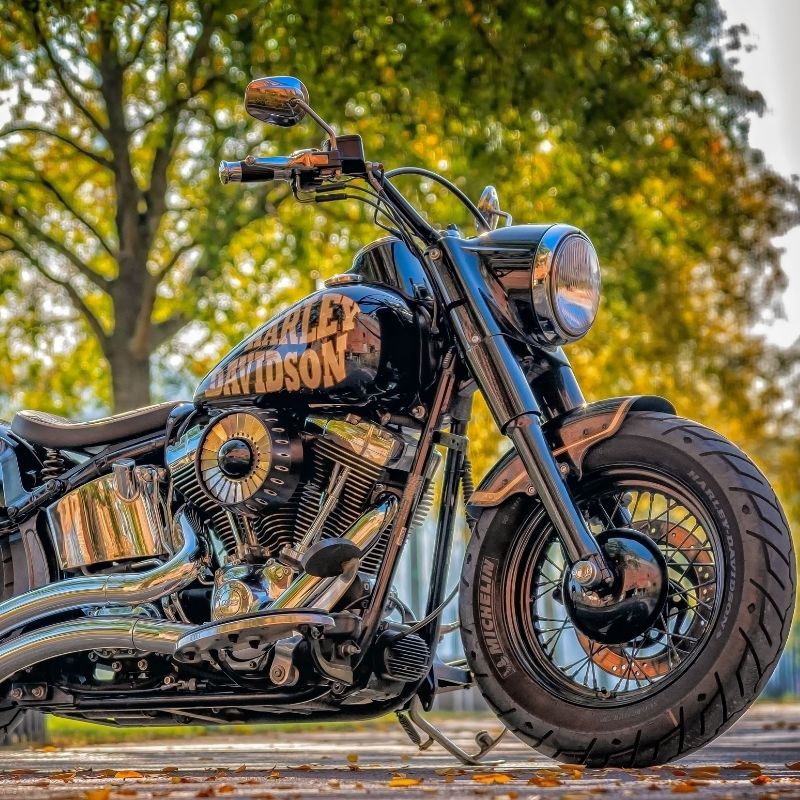 Harley Davidson cruiser